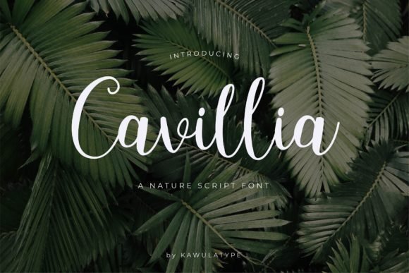Cavillia Font - Featured Image