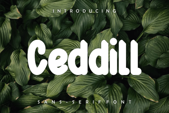 Ceddill Font - Featured Image