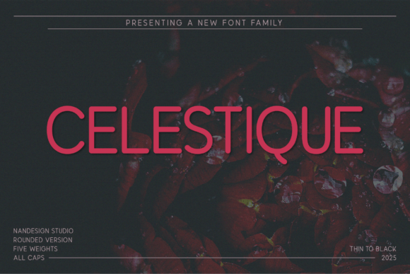 Celestique Rounded Font - Featured Image