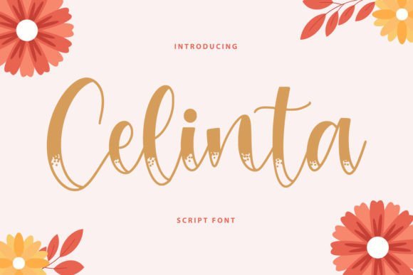 Celinta Font - Featured Image