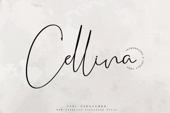 Cellina Font - Featured Image