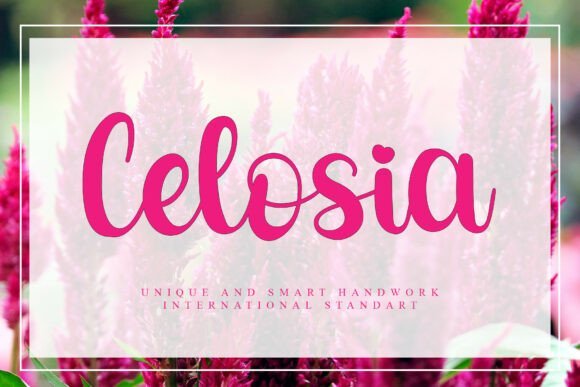 Celosia Font - Featured Image