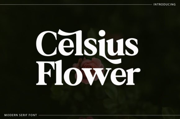 Celsius Flower Font - Featured Image
