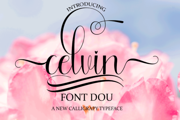 Celvin Font - Featured Image
