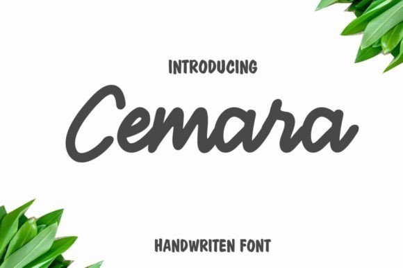 Cemara Font - Featured Image