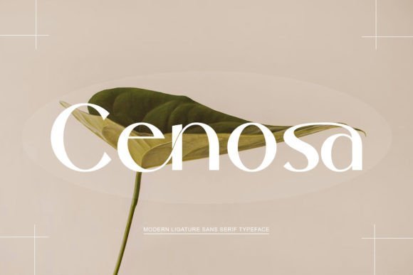 Cenosa Font - Featured Image