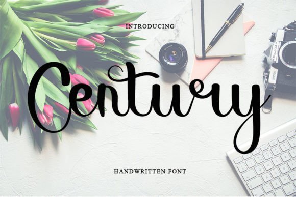Century Font - Featured Image