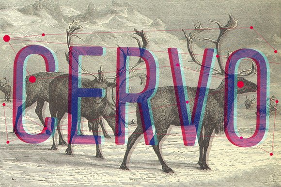 Cervo Font - Featured Image