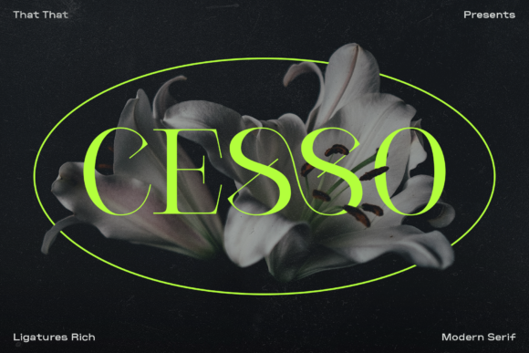 Cesso Font - Featured Image