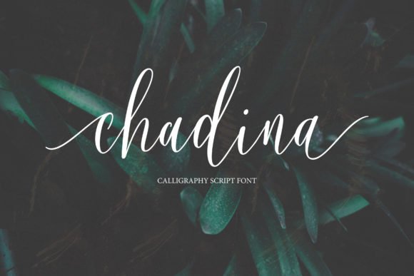 Chadina Script Font - Featured Image