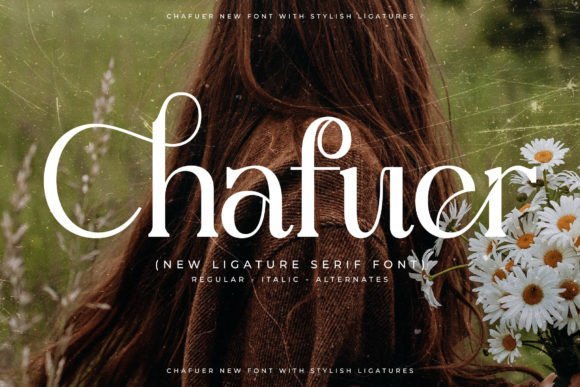 Chafuer Font - Featured Image