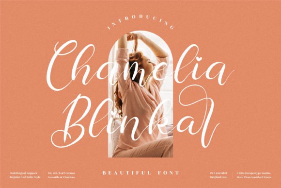 Chamelia Blinkar Font - Featured Image