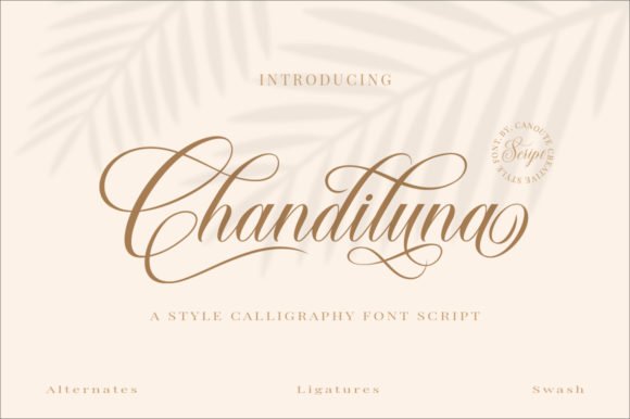 Chandiluna Font - Featured Image