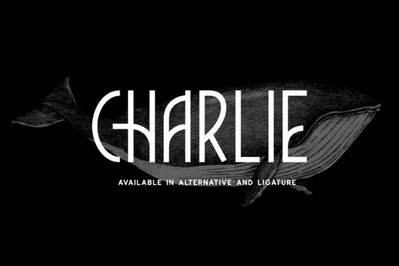 Charlie Font - Featured Image