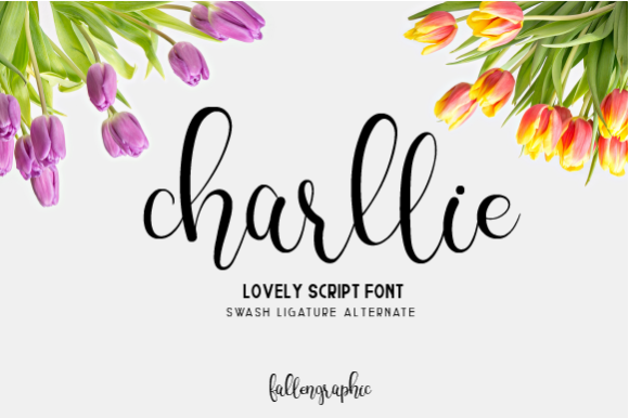Charllie Script Font - Featured Image