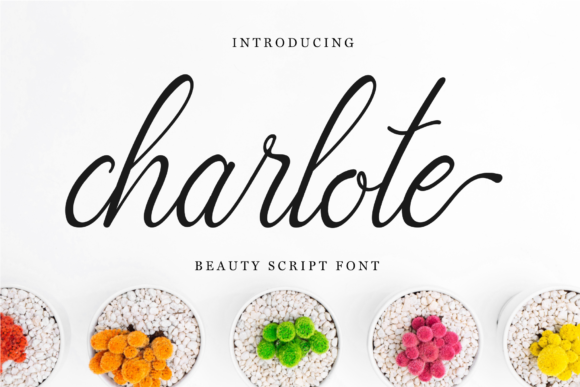 Charlote Script Font - Featured Image