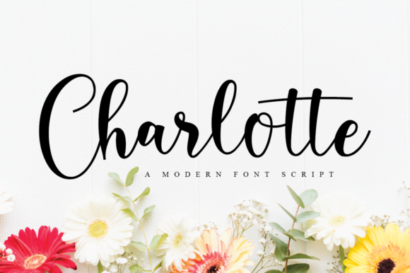 Charlotte Font - Featured Image