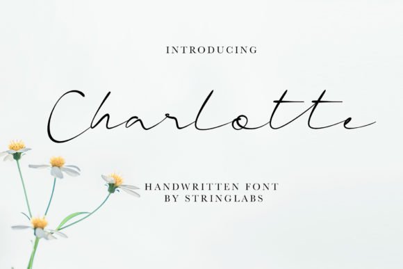 Charlotte Font - Featured Image