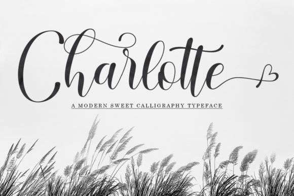 Charlotte Font - Featured Image