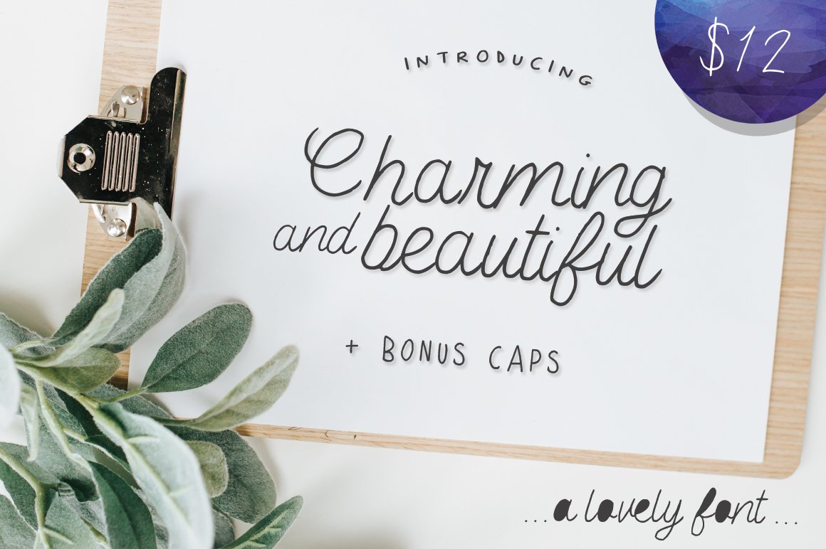 Charming & Beautiful Font - Featured Image