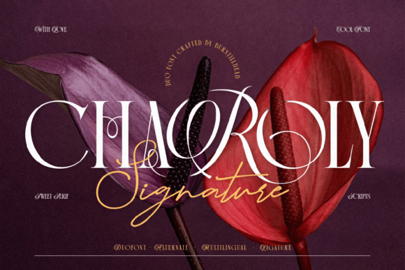 Charoly Signature Font - Featured Image
