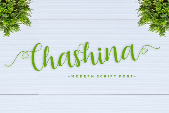 Chashina Font - Featured Image
