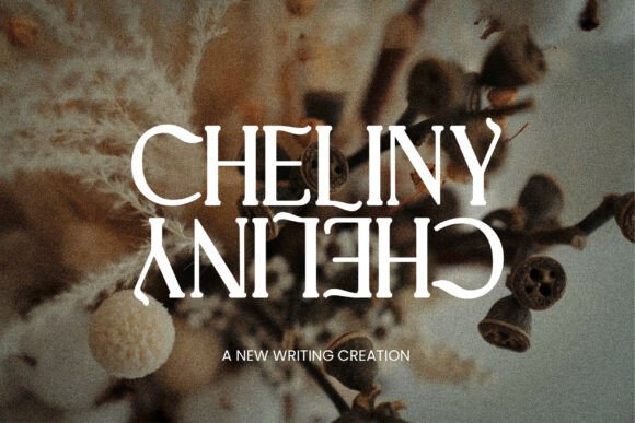 Cheliny Font - Featured Image
